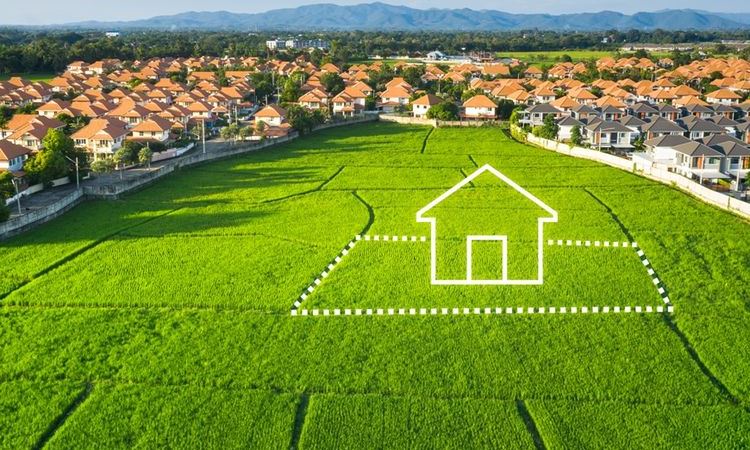 Berinvestasi di Tanah Pertanian Texas Tengah