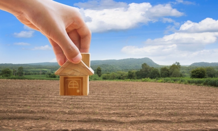 Tips Memilih dan Mengembangkan Area Pertanian Investasi Rumah Anda